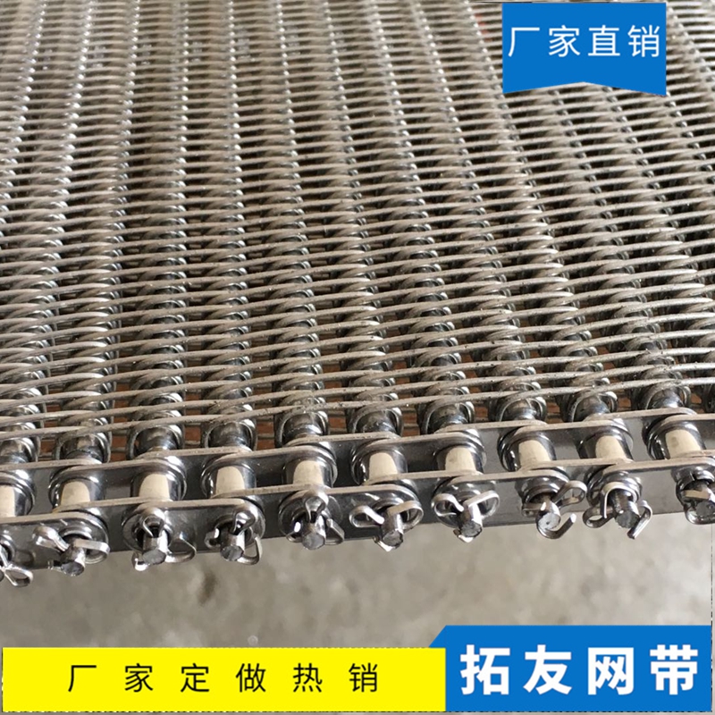 链条网带 (1)