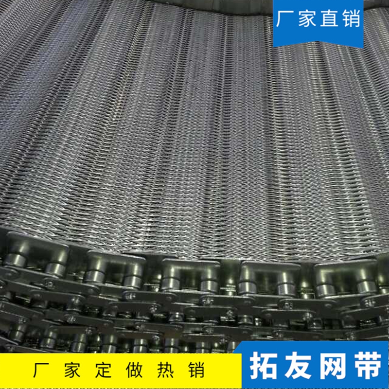 链条网带 (5)