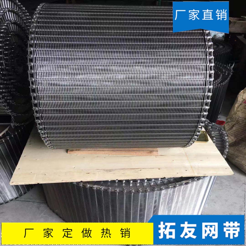 链条网带 (7)
