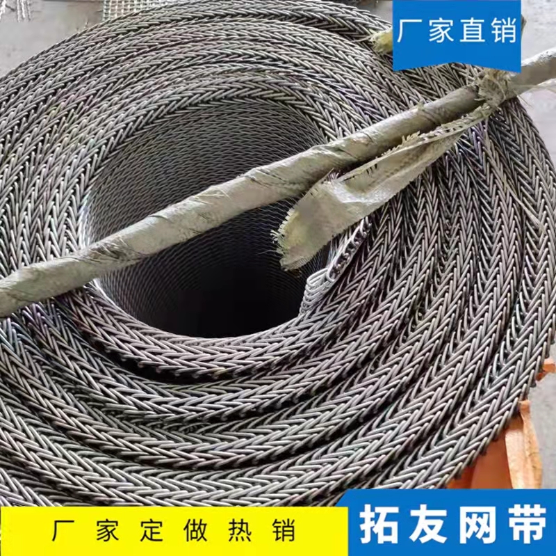 淬火炉网带 (12)