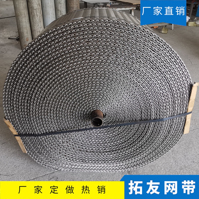 烧结炉网带 (8)