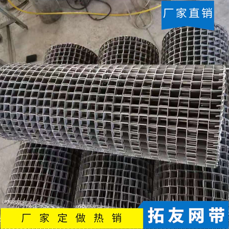 长城网带 (3)