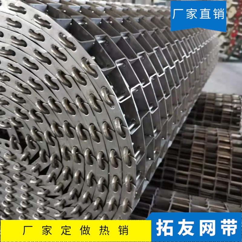 长城网带 (4)