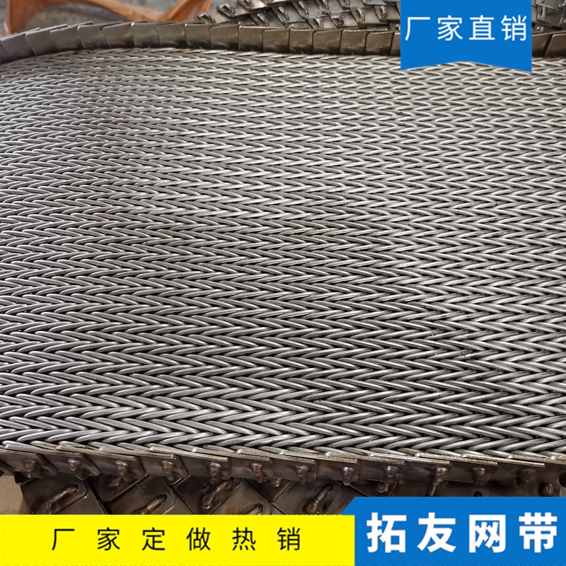 正火炉网带 (2)