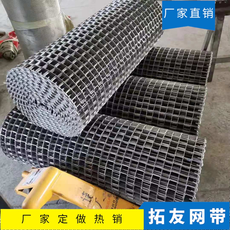 长城网带 (5)