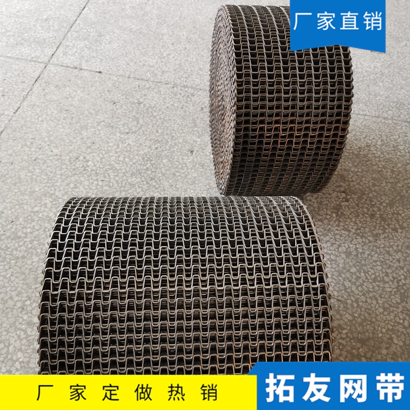 长城网带 (7)