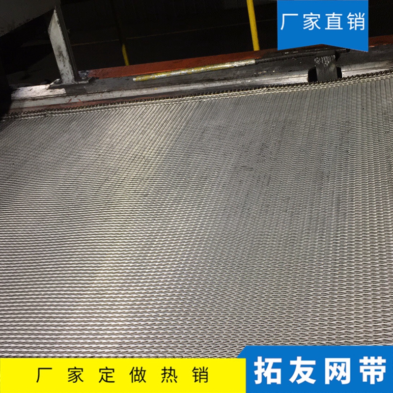 正火炉网带 (6)